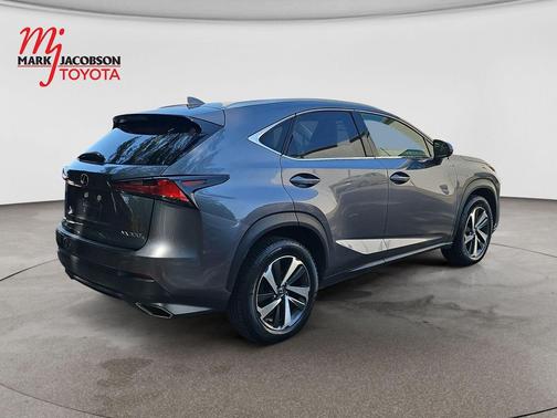 Nebula Gray Pearl 2020 Lexus NX 300 Base