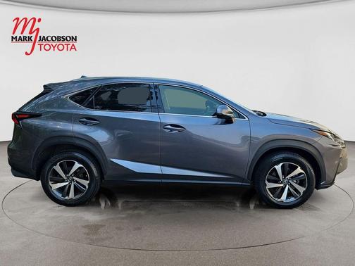 Nebula Gray Pearl 2020 Lexus NX 300 Base