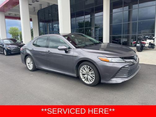 Predawn Gray Mica 2019 Toyota Camry Hybrid XLE