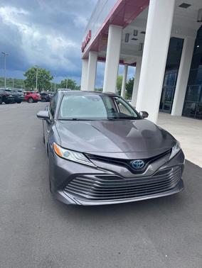 Predawn Gray Mica 2019 Toyota Camry Hybrid XLE