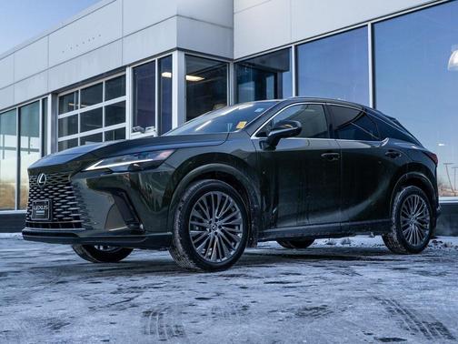 2024 Lexus RX 350h Luxury