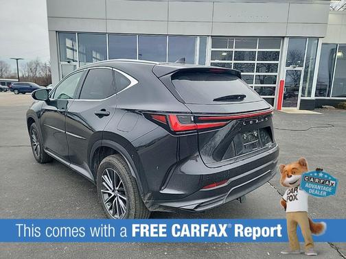 2023 Lexus NX 350 Premium