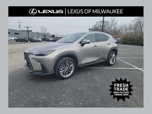 Atomic Silver 2025 Lexus NX 350h Luxury