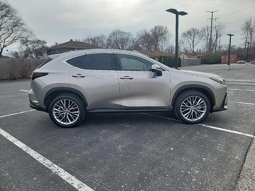 Atomic Silver 2025 Lexus NX 350h Luxury