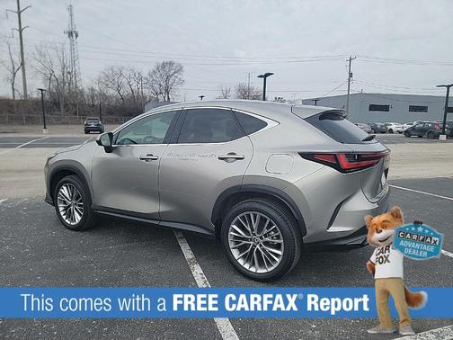 Atomic Silver 2025 Lexus NX 350h Luxury