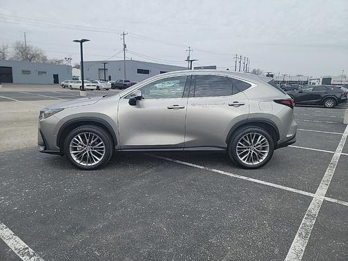Atomic Silver 2025 Lexus NX 350h Luxury