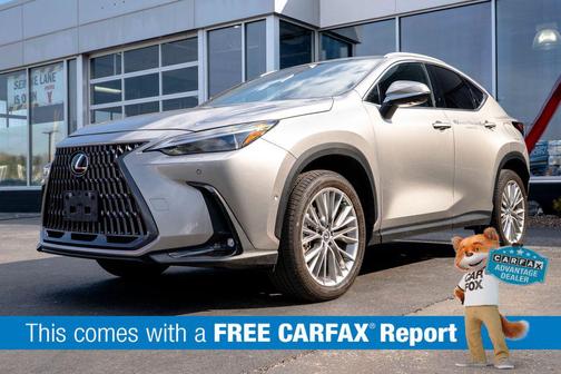 2025 Lexus NX 350h Luxury