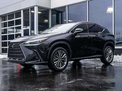 2023 Lexus NX 350 Luxury