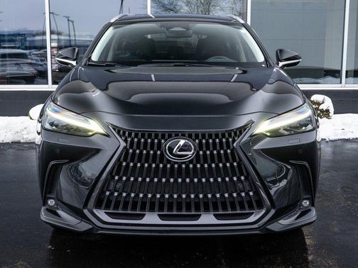 2023 Lexus NX 350 Luxury
