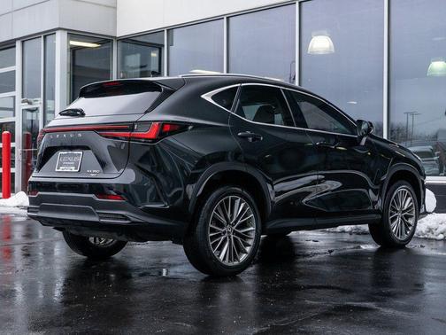 2023 Lexus NX 350 Luxury