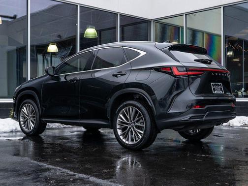 2023 Lexus NX 350 Luxury