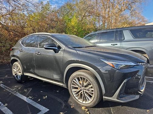 2023 Lexus NX 350 Luxury