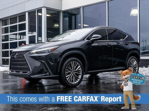 2023 Lexus NX 350 Luxury