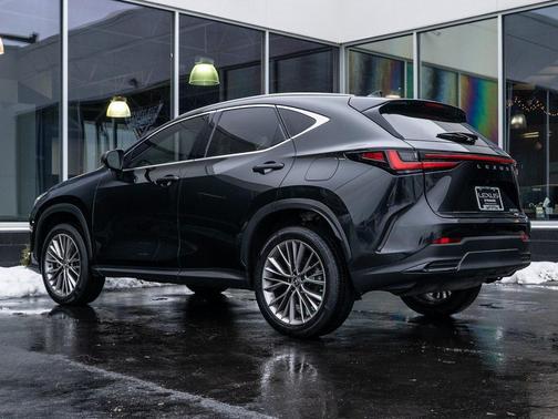 2023 Lexus NX 350 Luxury