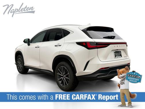 Eminent White Pearl 2024 Lexus NX 350 Premium