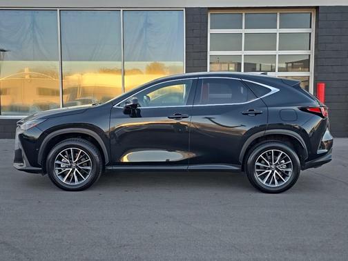 2024 Lexus NX 350h Luxury