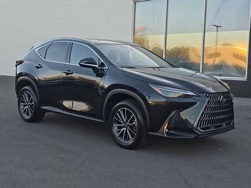 2024 Lexus NX 350h Luxury