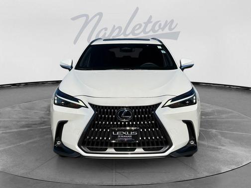 White Pearl 2024 Lexus NX 350 350 Base