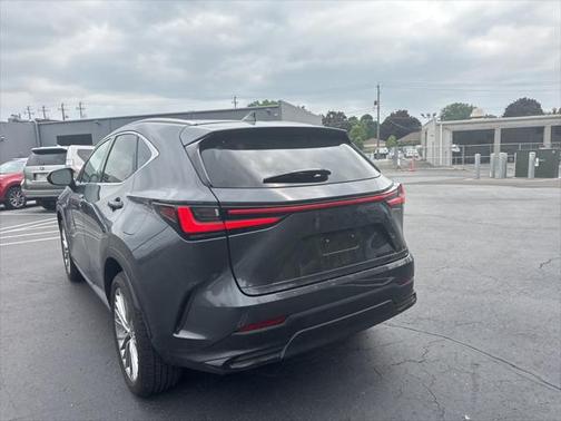 2025 Lexus NX 350h Luxury