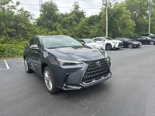 2025 Lexus NX 350h Luxury