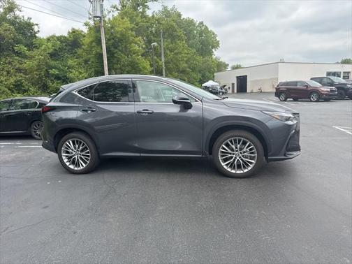2025 Lexus NX 350h Luxury