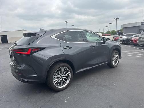 2025 Lexus NX 350h Luxury