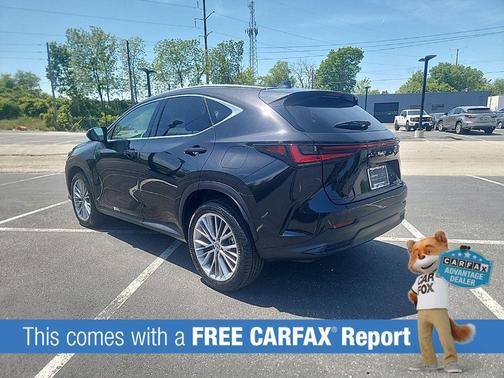 Caviar 2025 Lexus NX 350h Premium