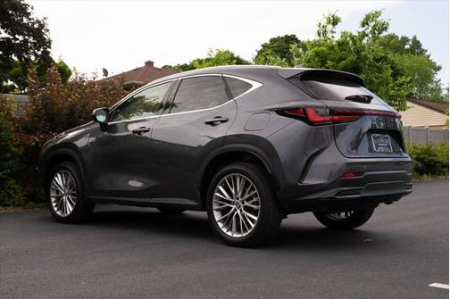 2025 Lexus NX 350h Luxury