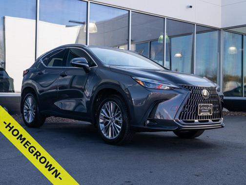 2025 Lexus NX 350h Premium