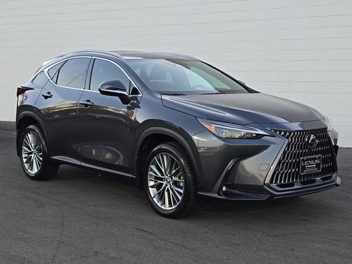 2025 Lexus NX 350h Premium