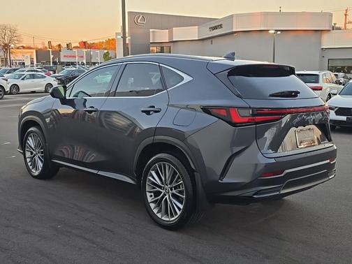 2025 Lexus NX 350h Premium