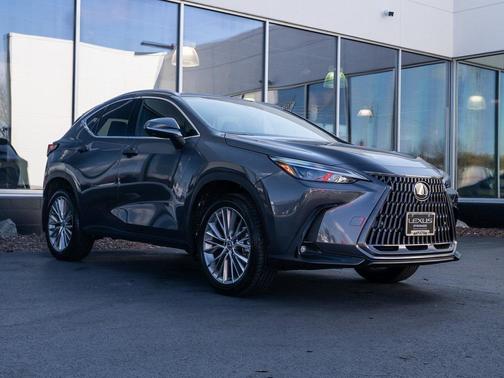 2025 Lexus NX 350h Premium
