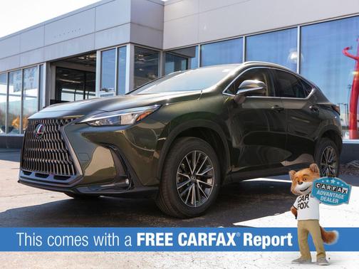 Nori Green Pearl 2023 Lexus NX 350 Premium