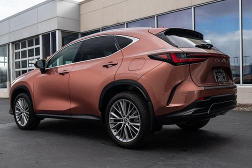 2025 Lexus NX 350h Premium