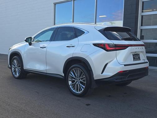 2024 Lexus NX 350 Luxury