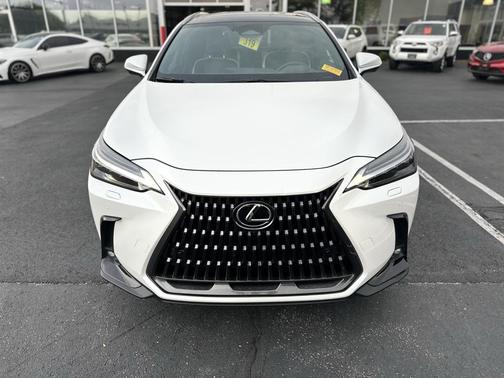 2024 Lexus NX 350 Luxury