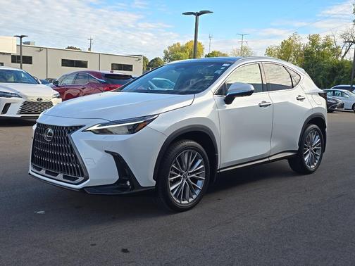 2024 Lexus NX 350 Luxury