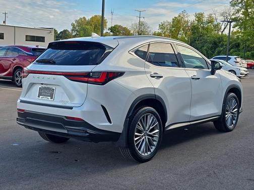 2024 Lexus NX 350 Luxury