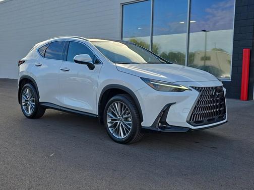 2024 Lexus NX 350 Luxury
