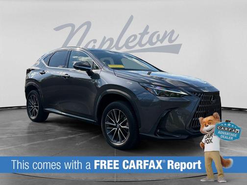 Cloudburst Gray 2024 Lexus NX 350 350 Base