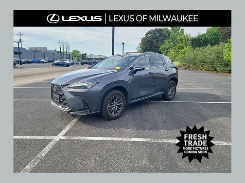 Cloudburst Gray 2024 Lexus NX 350 350 Base