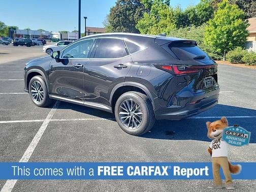 Caviar 2024 Lexus NX 350 Premium