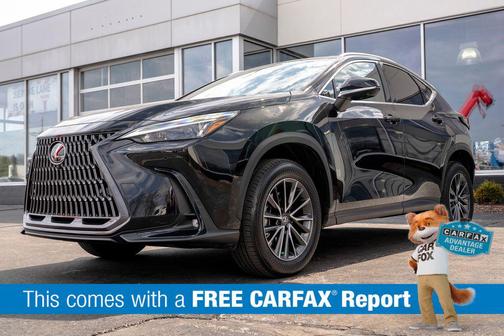 Caviar 2024 Lexus NX 350 Premium
