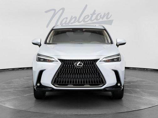 Ultra White 2026 Lexus NX 350h Premium