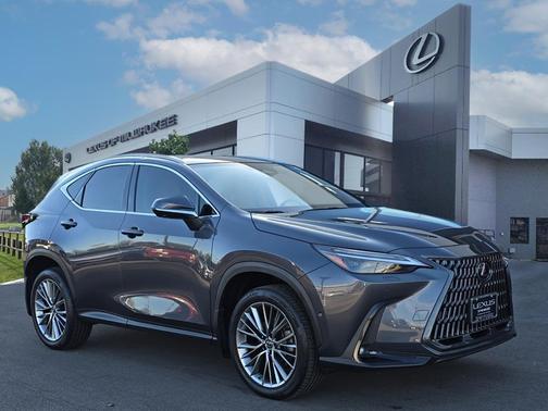2022 Lexus NX 350h Luxury