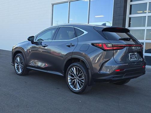 2022 Lexus NX 350h Luxury
