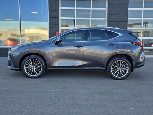 2022 Lexus NX 350h Luxury