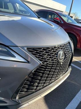 2022 Lexus RX 350 F SPORT Appearance