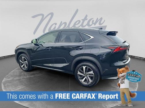 Obsidian 2019 Lexus NX 300 Base