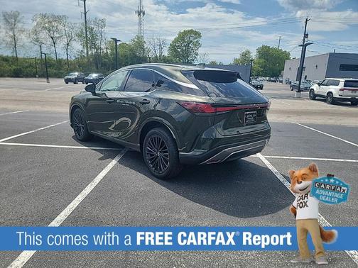 Green Pearl 2025 Lexus RX 350 Premium